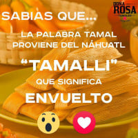 Tamales Doña Rosa food