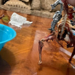 Mariscos Mape Comida