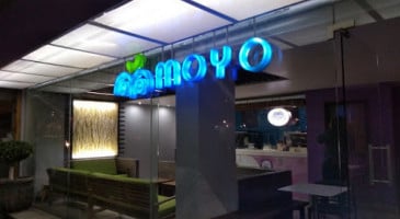 Moyo inside