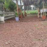 Ma-ne's Pizza Outside