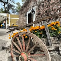 Hacienda El Salitre food