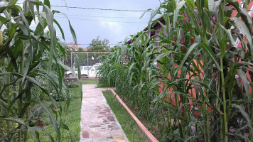 Los Magueyes Calvillo outside