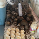 Mariscos Avila Comida