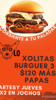 Xolo Burgers Jochos food