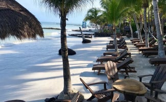 Beach La Palapa outside