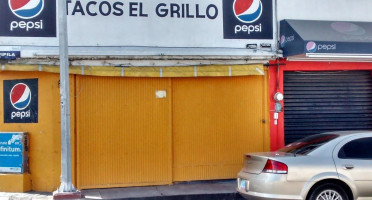 Tacos El Grillo inside