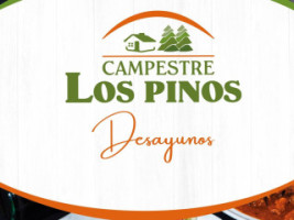 Campestre San Martín De Los Pinos menu