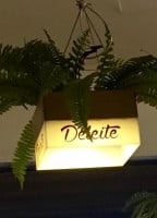 Deleite food