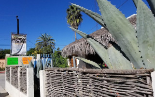 Los Agaves Extérieur