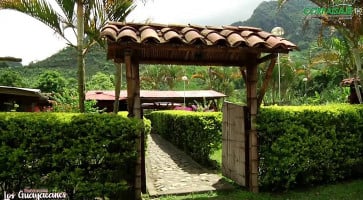 Los Guayacanes outside