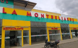 Montbeliarde outside