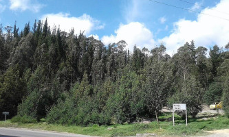 Route 45a Coffee Exterior