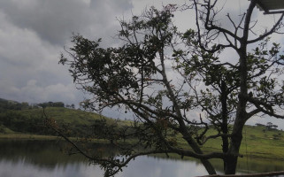 Lago La Marqueza outside