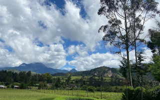 Livanesssa Campestre outside