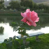 El Palacio Del Kumis Extérieur