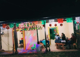 Viva Chihuahua Pavas Außen