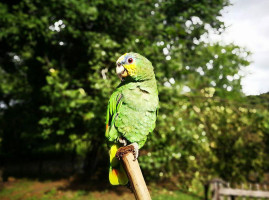 Finca Agroturistica Caracaro Extérieur