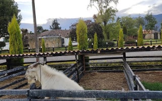 Rancho San Juanito, Y Parrilla outside