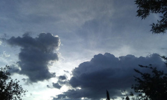 Chapo' Hot Dog's El Chino) Exterior