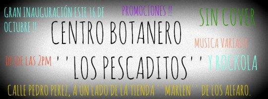 Los Pescaditos menu