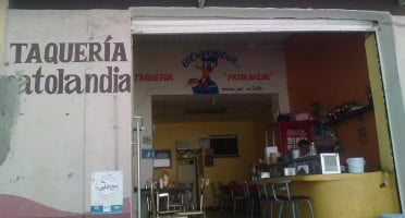 Taqueria Patolandia outside