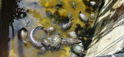 Interactivo El Acuario. food