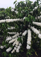 Comedor El Peñon Extérieur