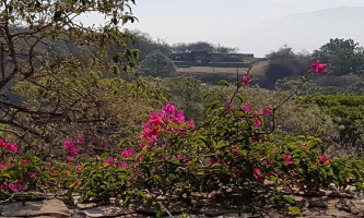 Monte Alban outside