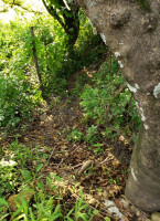 Flor Y Canto Malinalco outside