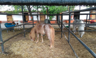 Cocteles De Caracol Juan Caracoles outside