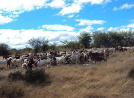 Barbacoa Paso De Cabra El Viejito outside