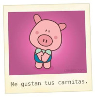 Carnitas Nichos Carta