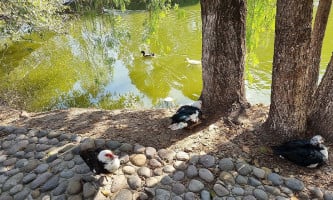 La Bahia Rio Hondo outside