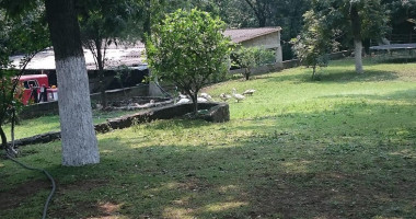 Tacos Don Chon Outside