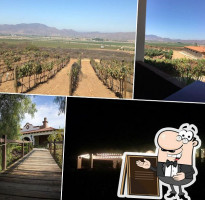 Hacienda Guadalupe guru