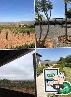 Hacienda Guadalupe guru