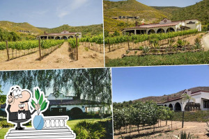 Hacienda Guadalupe outside