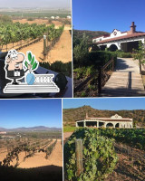 Hacienda Guadalupe guru