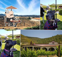 Hacienda Guadalupe guru