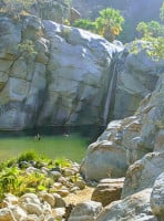 Amalia Cocina De Instinto outside