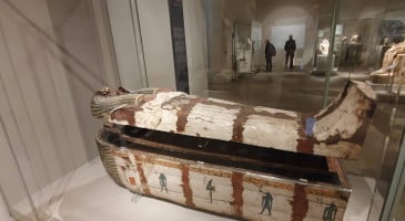 Paradero Amayuca drink