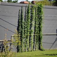 Quinta Del Bosque Exterior