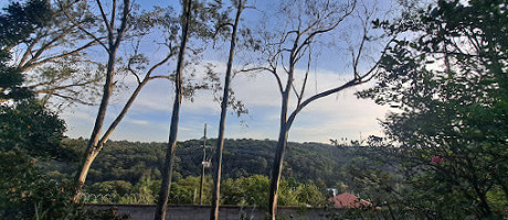 Angelo's Pizza Exterior