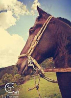 La Frontera Macheta Exterior