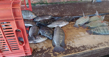 Venta De Pescado Vivo La Aurora outside