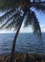 Humo's Restaurant Sports Bar Exterior