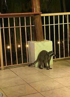 5 O'clock Somewhere Grill outside