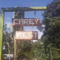 Carey outside