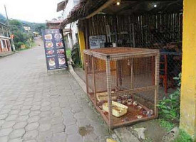 Avenida Cafe outside