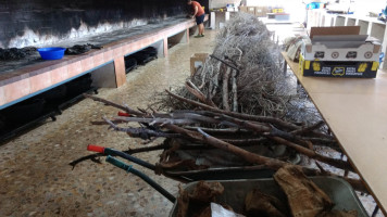 Dirigo Fermentory outside